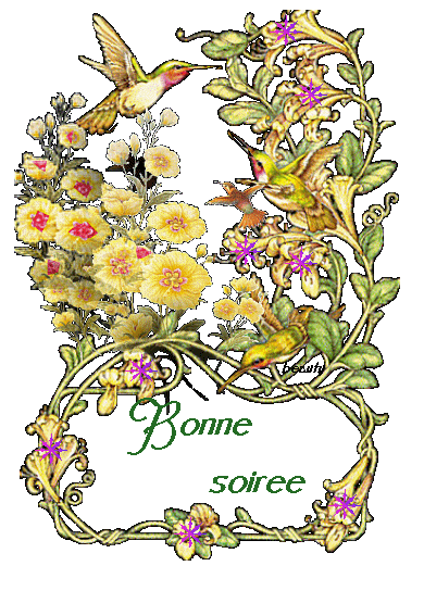 BONNE SOIREE ....